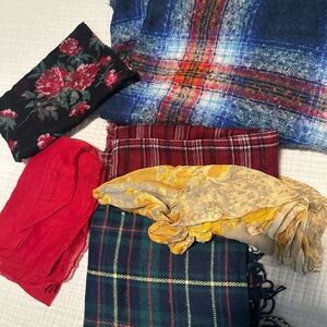 Assorted Patterned Scarves Collection